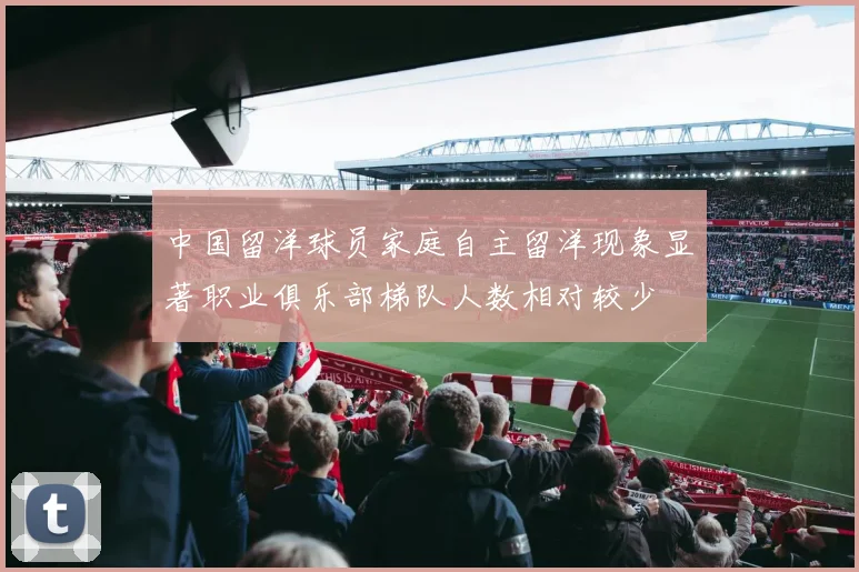 中国留洋球员家庭自主留洋现象显著职业俱乐部梯队人数相对较少